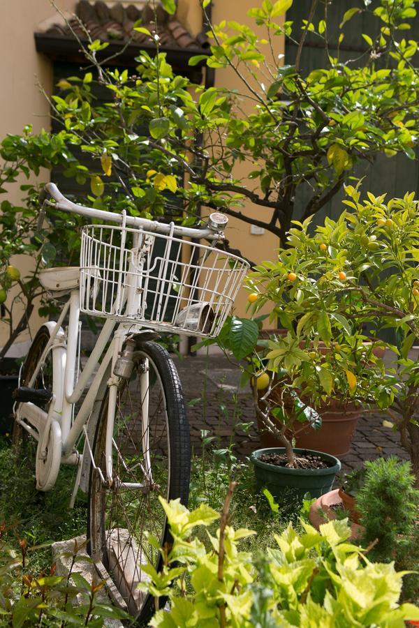A Casa Di Tom Bed & Breakfast Sant'Ambrogio di Valpolicella Exterior photo